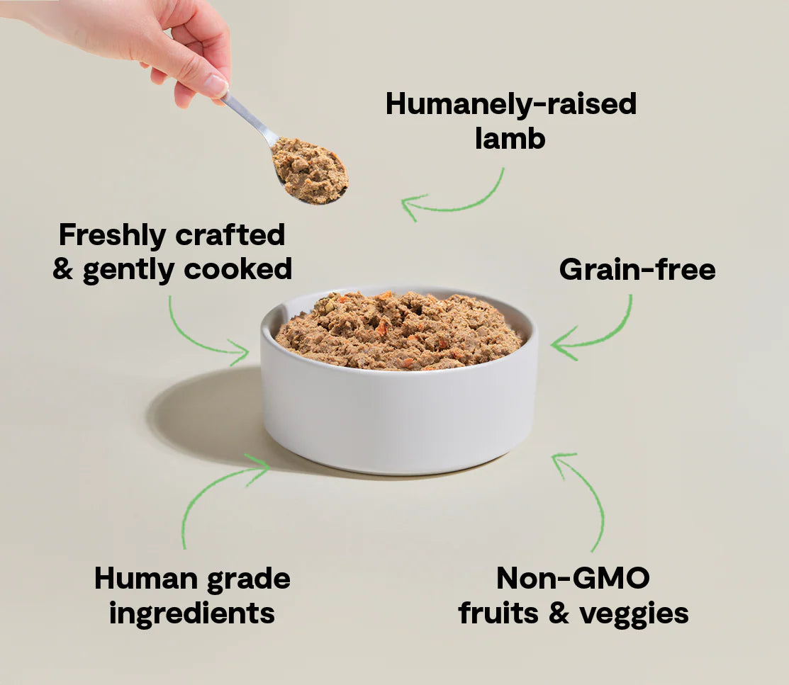 Open Farm Pasture-Raised Lamb Freshly Crafted Dog Food