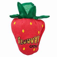 Strawberry Cat Toy