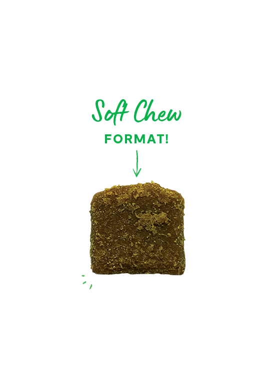 Open Farm Immune Supplement For Dogs