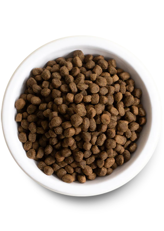 Open Farm Puppy Dry Food: Salmon