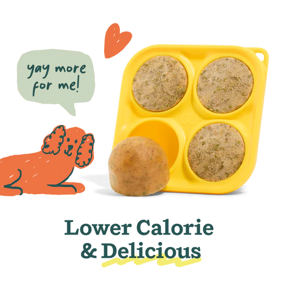 Woof Pupscicle Mix: Balanced Belly