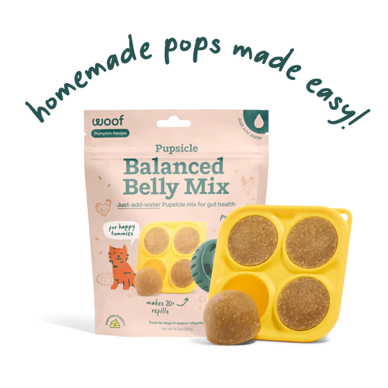 Woof Pupscicle Mix: Balanced Belly