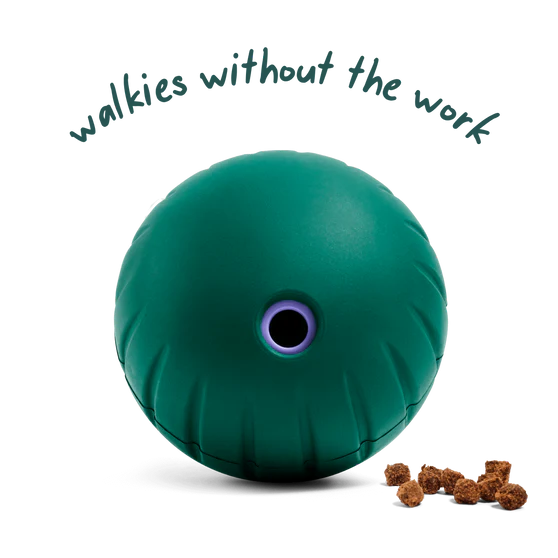 Woof Dog Forager Walkabout Dog Toy: Small