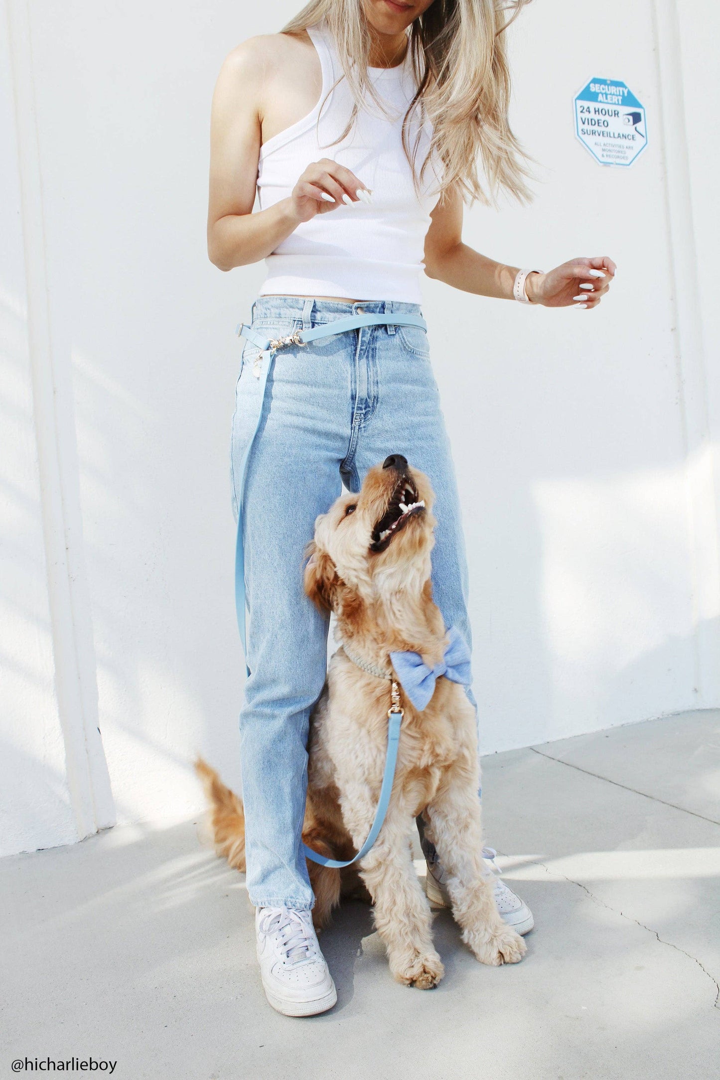 Chai Brown 4-in-1 Convertible Hands Free Cloud Dog Leash