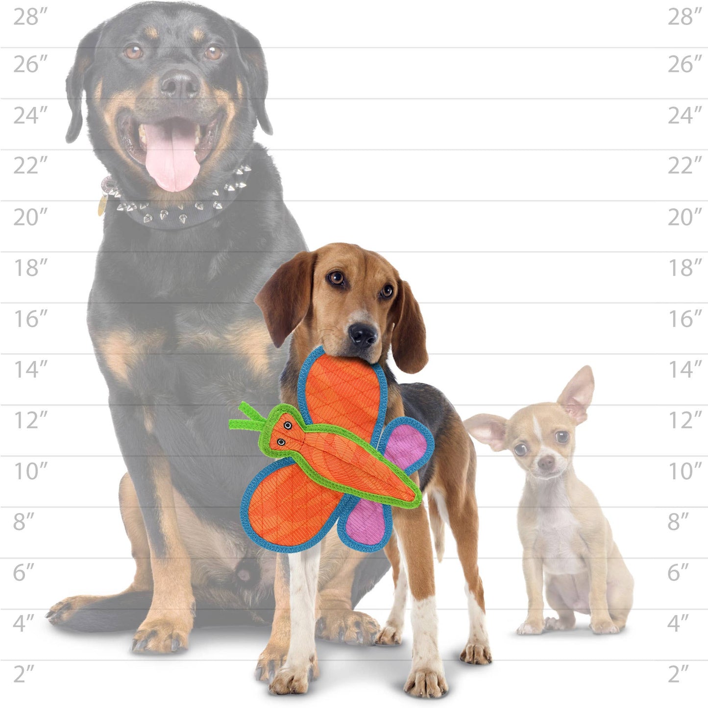 Tuffy DuraForce Butterfly - Durable, Squeaky Dog Toy