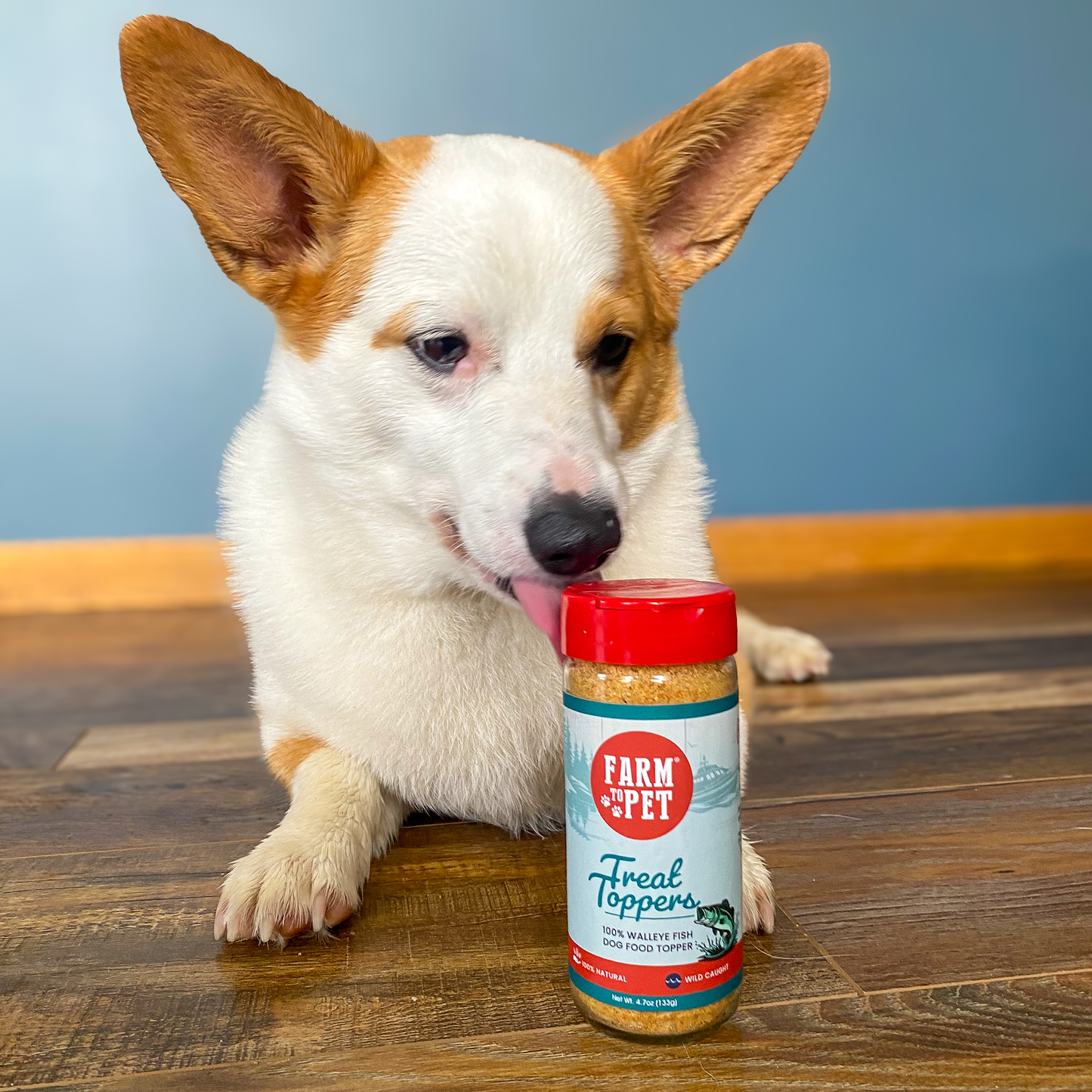 Treat Topper Fish Dog Food Topper