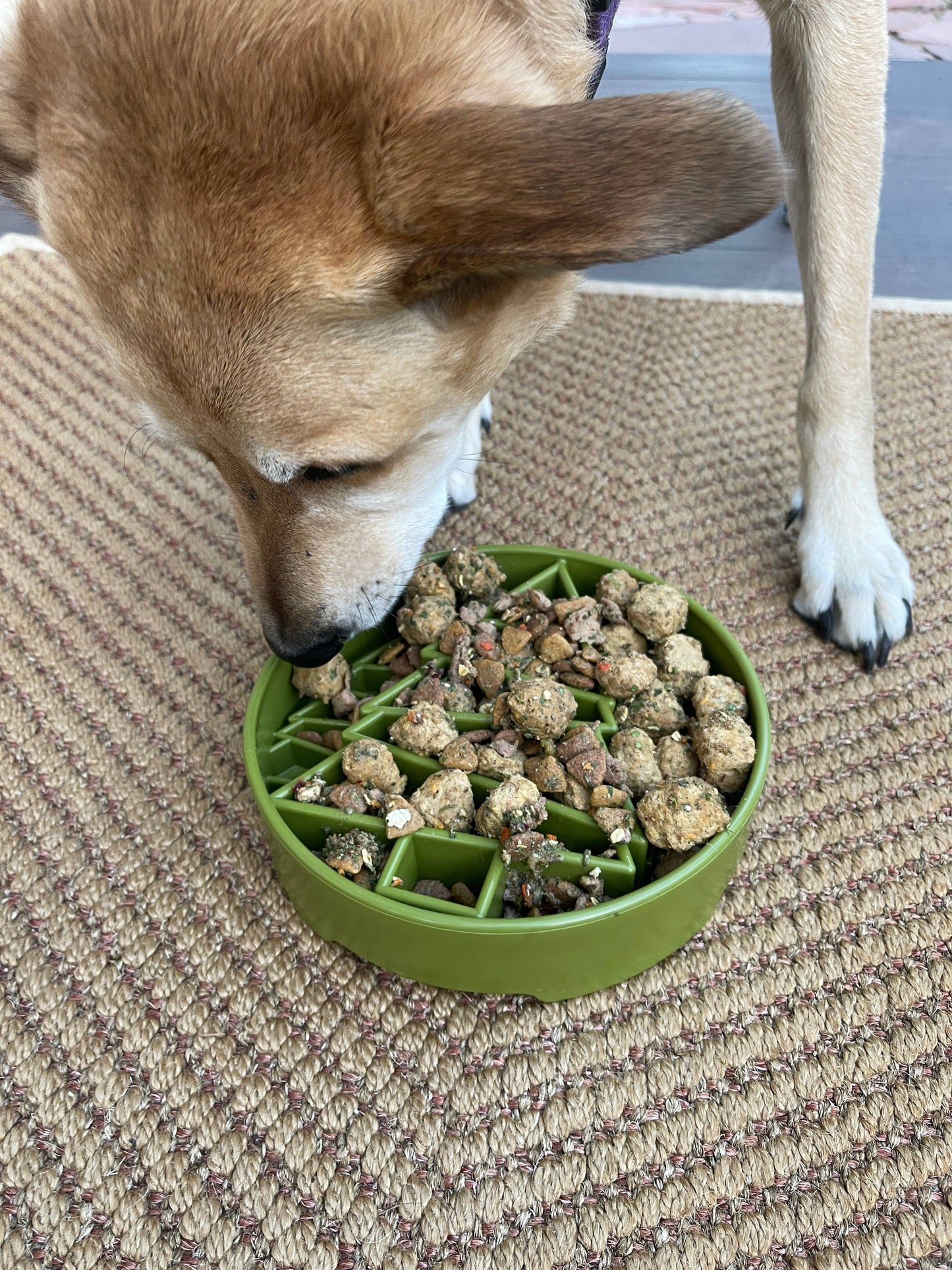 Pine Tree Enrichment Slow Feeder Bowl for Dogs: Trees ebowl - Green
