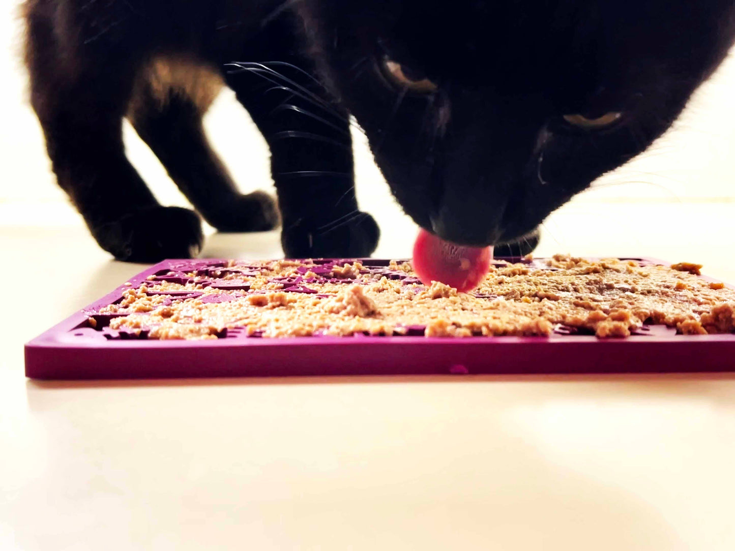 Fishy Design eMat Enrichment Lick Mat