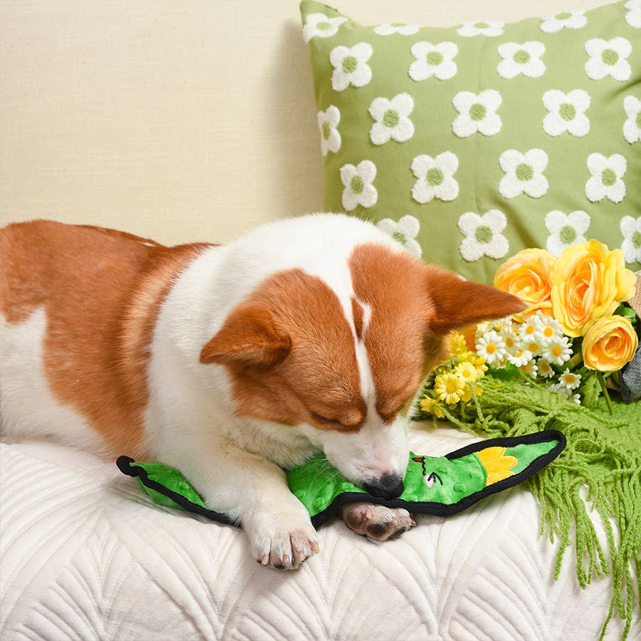 Squeakin’ Vegetables | Pickle - Dog Plush Toy