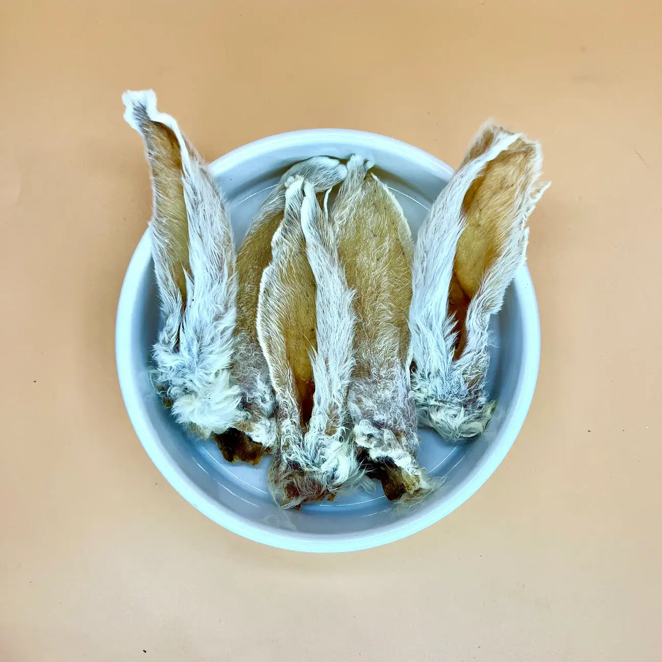 Rabbit Ears