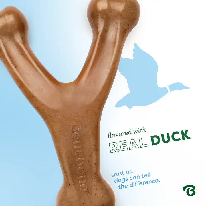 Duck Benebone Wishbone | Durable