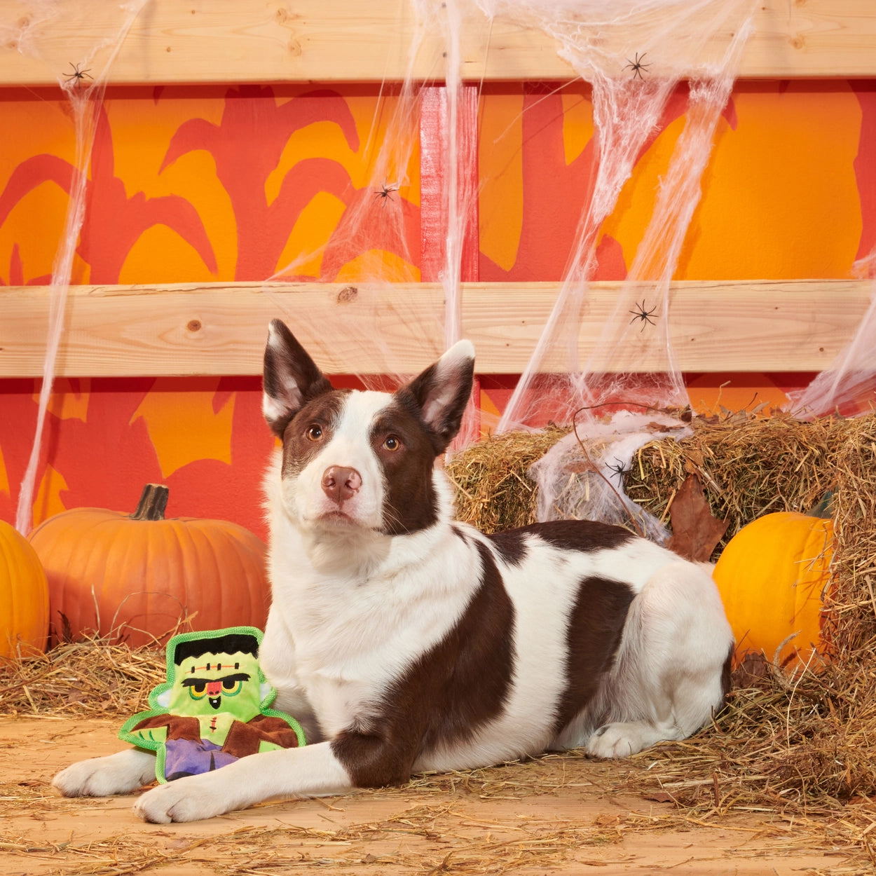 Bark Frankenstein's Muttster Plush Dog Toy