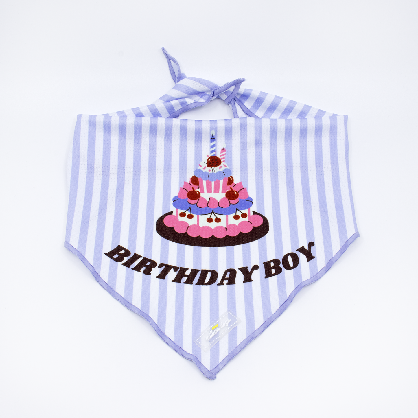 Dog Bandana - Birthday Boy