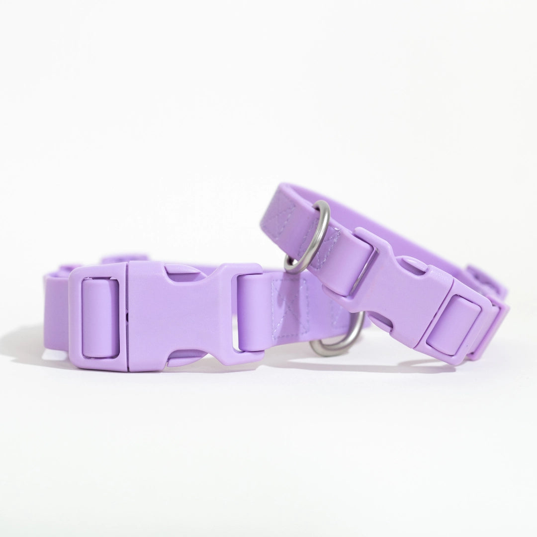 Springer Purple Waterproof Dog Collar