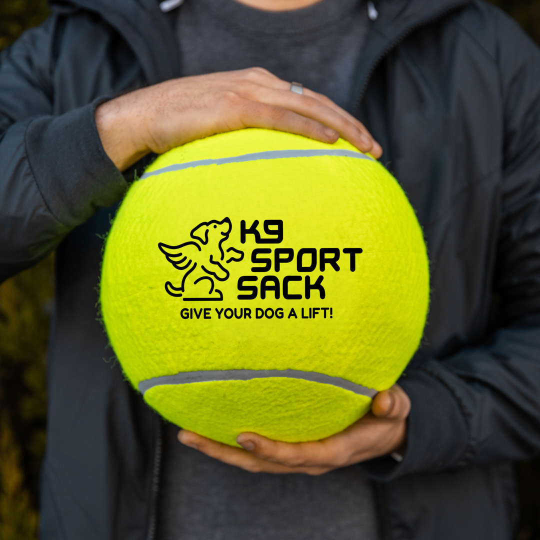 Jumbo Tennis Ball