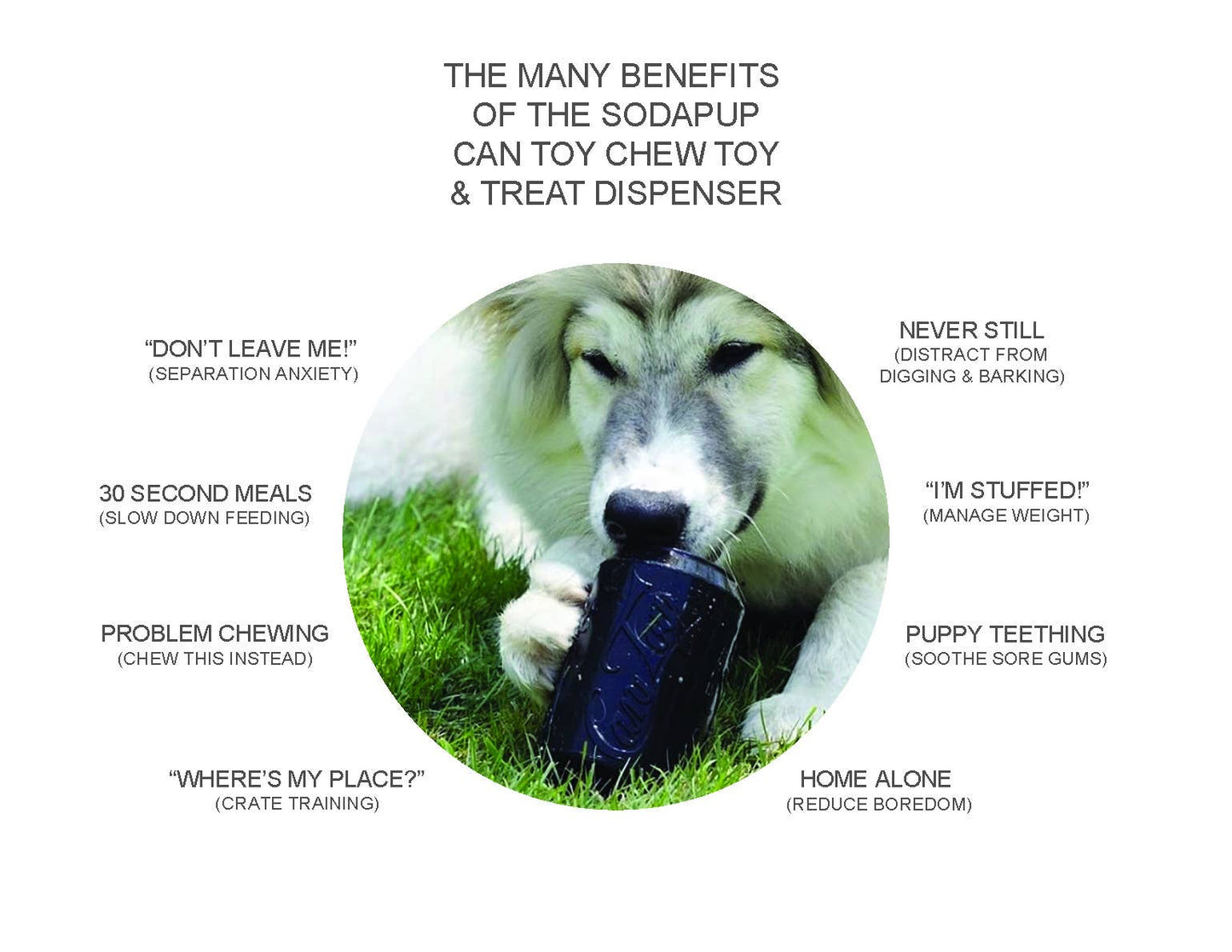 Magnum Can Toy: Large