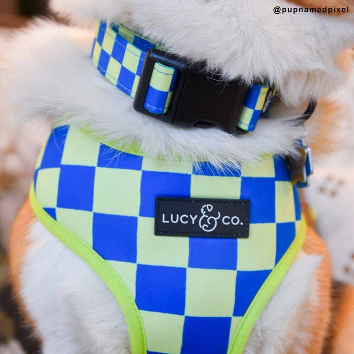 The Have a Nice Day Collar