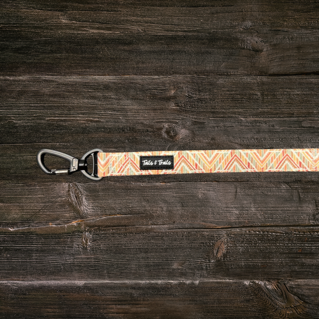 Double Handle Golden Hour Trail Leash