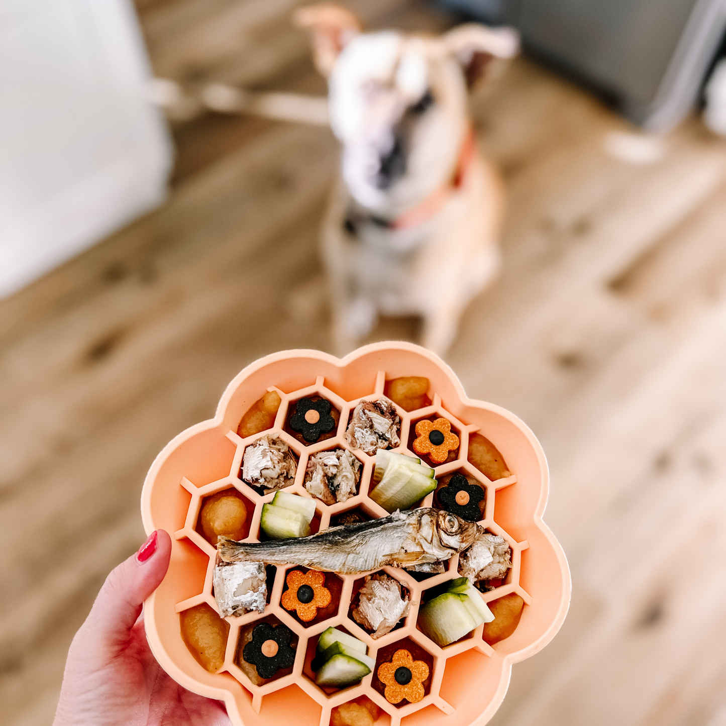 Daisy Slow Feeder Peach