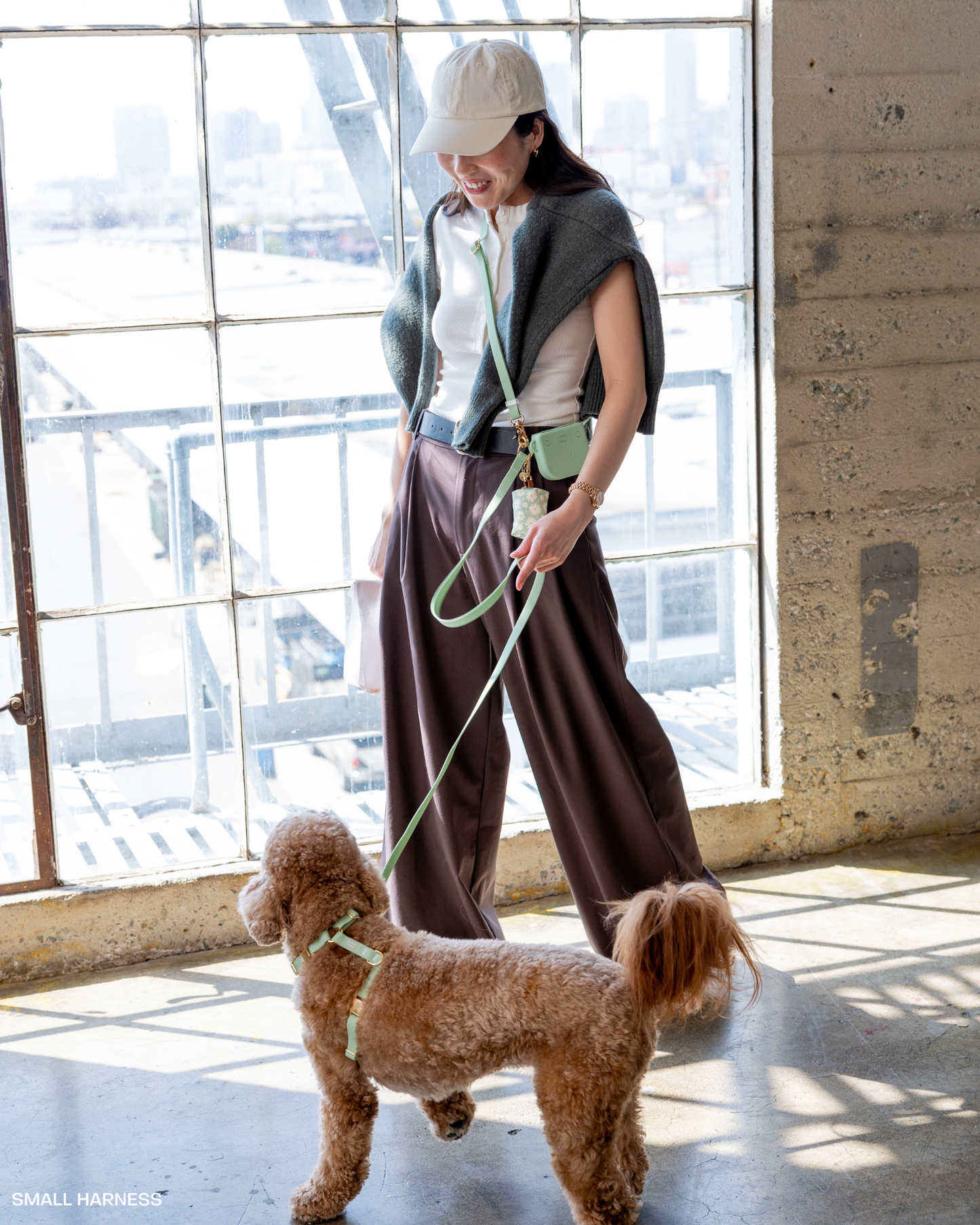Pistachio Green 4-in-1 Convertible Hands Free Dog Leash