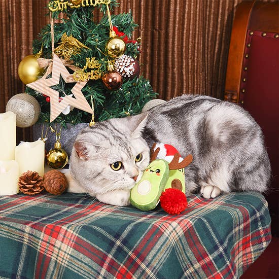 Holiday Feline | Avocado Christmas - Cat Toy