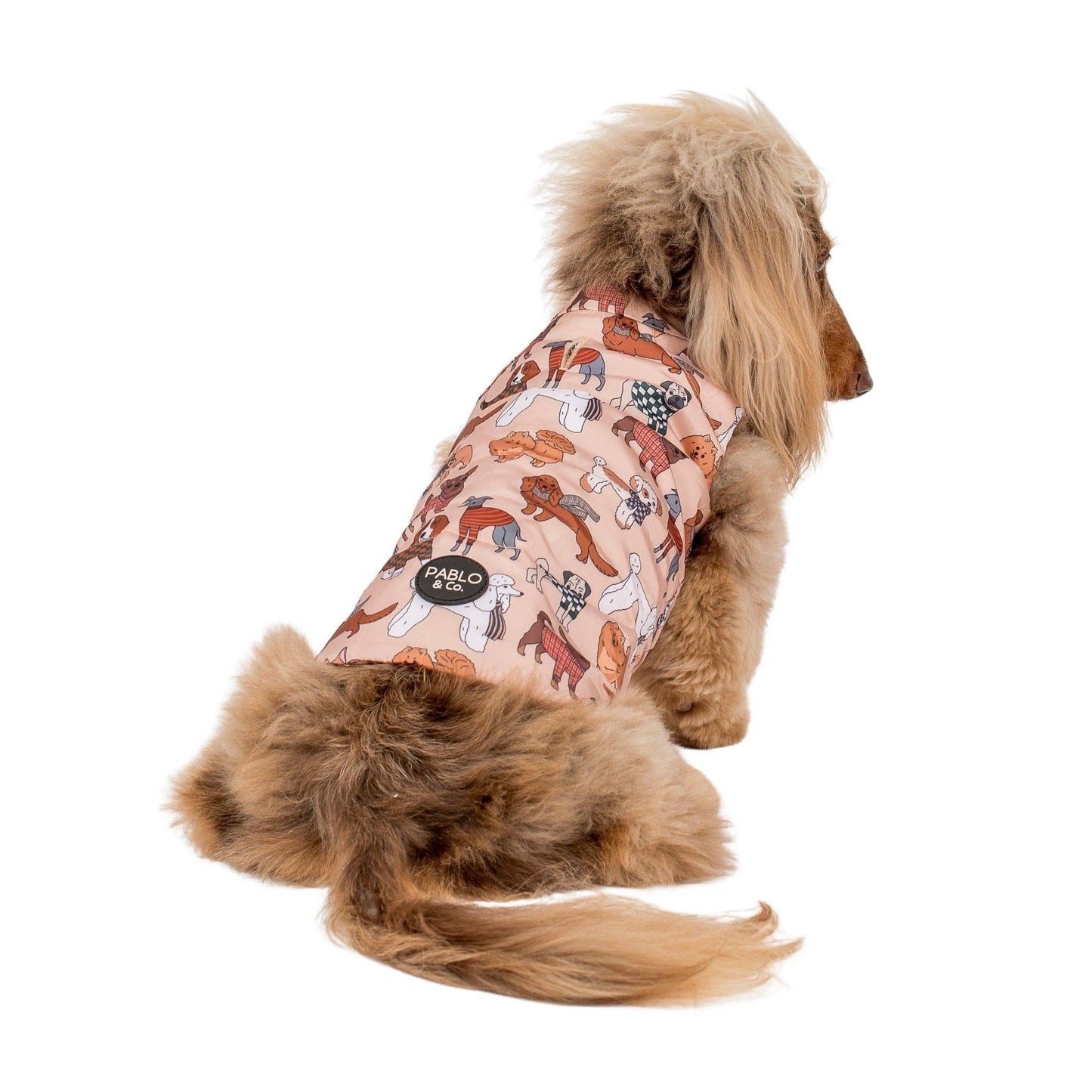 Winter Pooches : Puffer Vest: