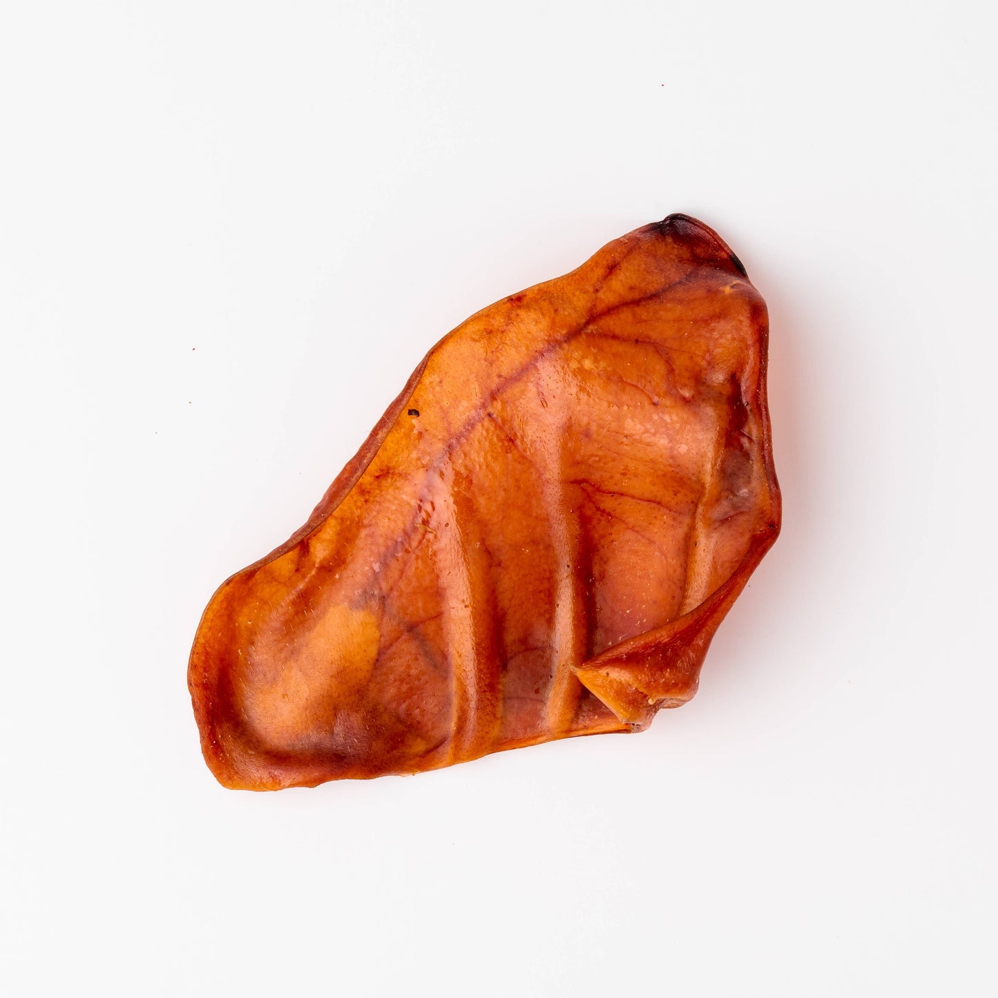 Jumbo Pig Ear