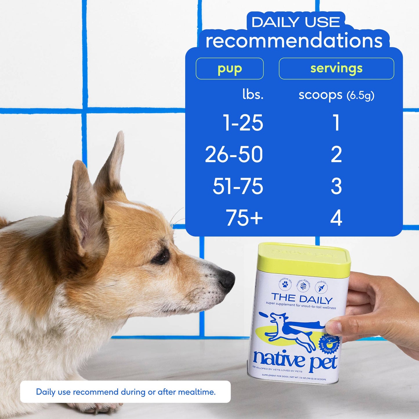 Native Pet The Daily Powder Supplement, 11-in-1 Multivitamins for Dogs