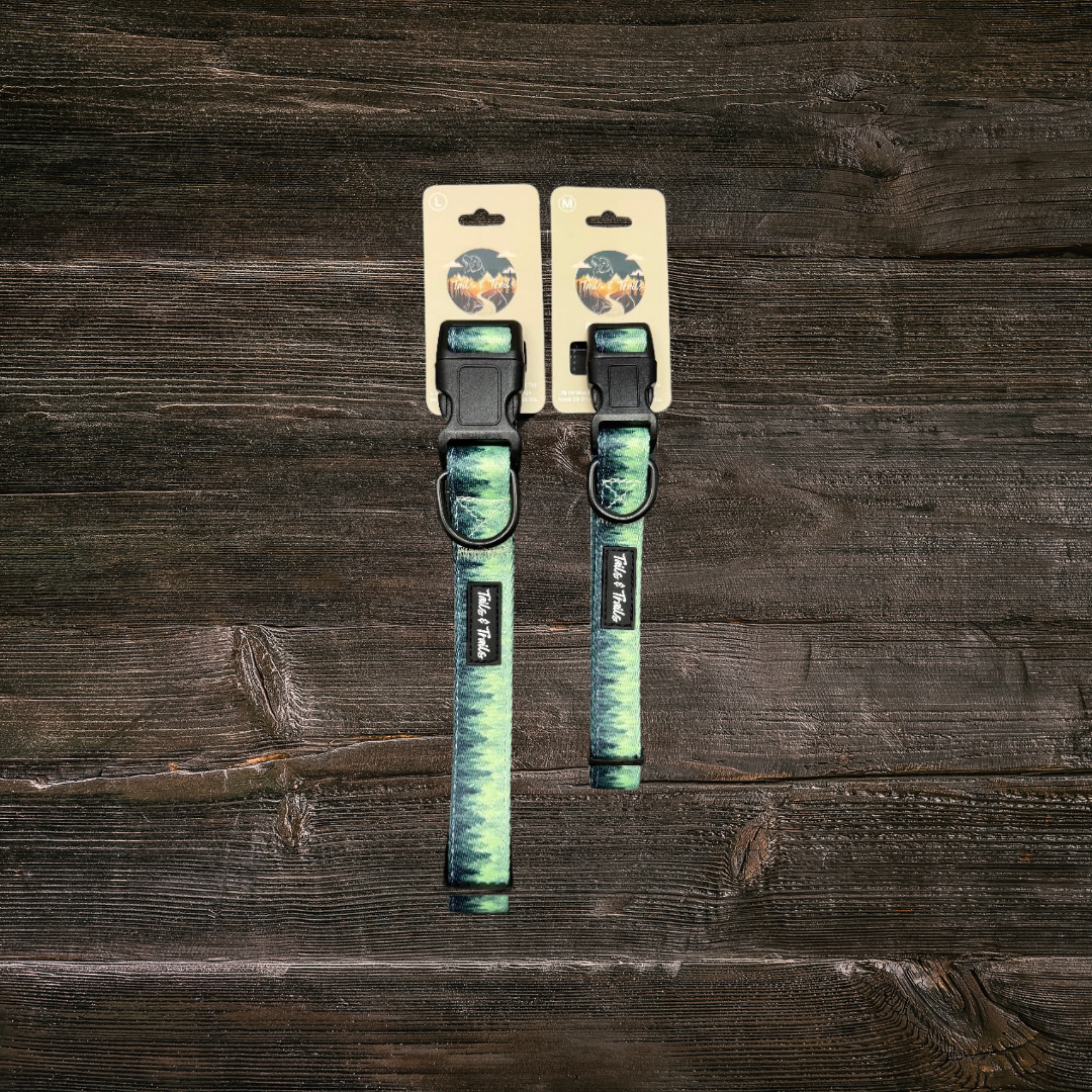 Forrest Trail Collar: Medium
