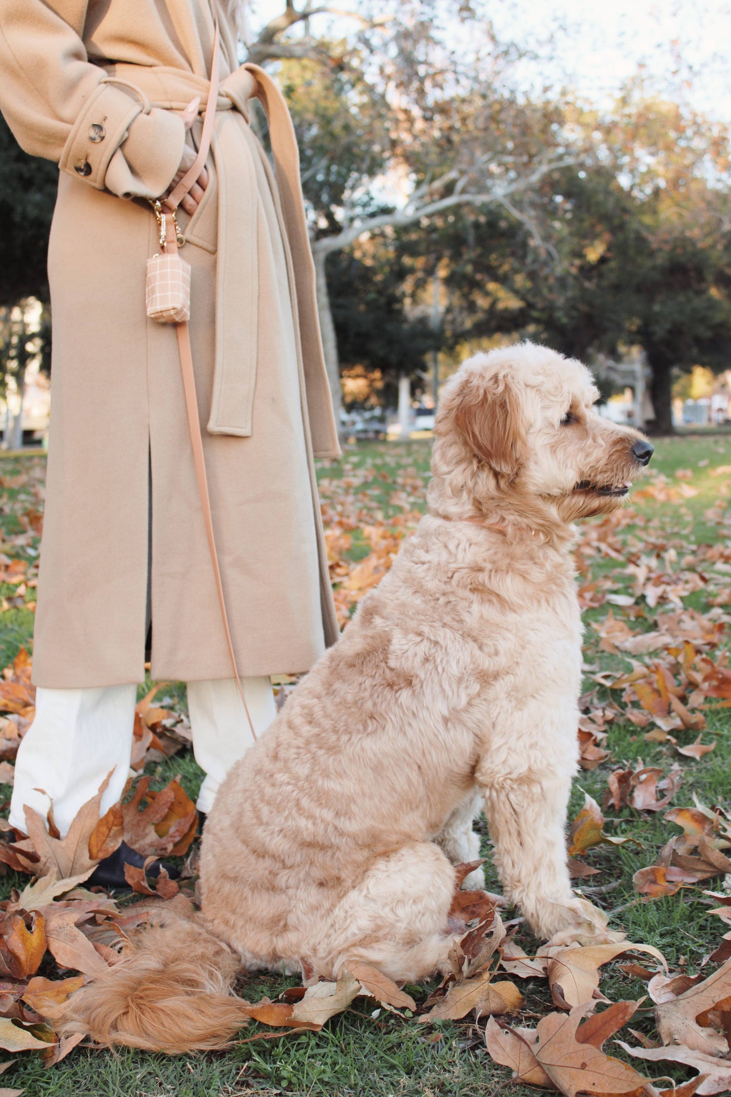 Pistachio Green 4-in-1 Convertible Hands Free Dog Leash