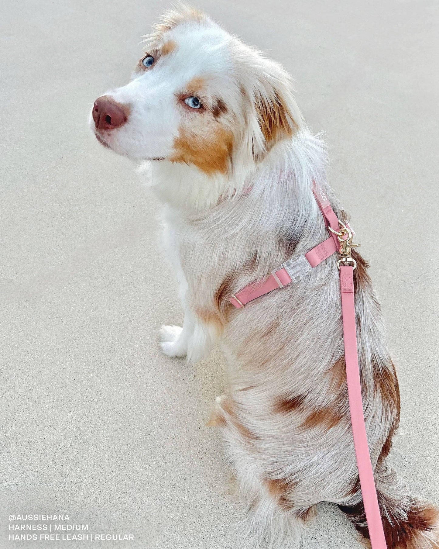 Perfect Pink Waterproof Cloud 30 Ft Dog Leash