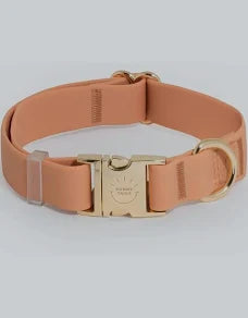Sunny Tails Chai Brown Waterproof Collar