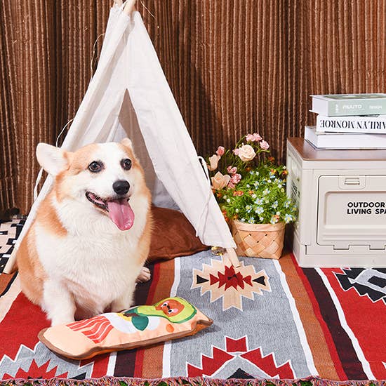 Avocado Toast Durable Dog Toy