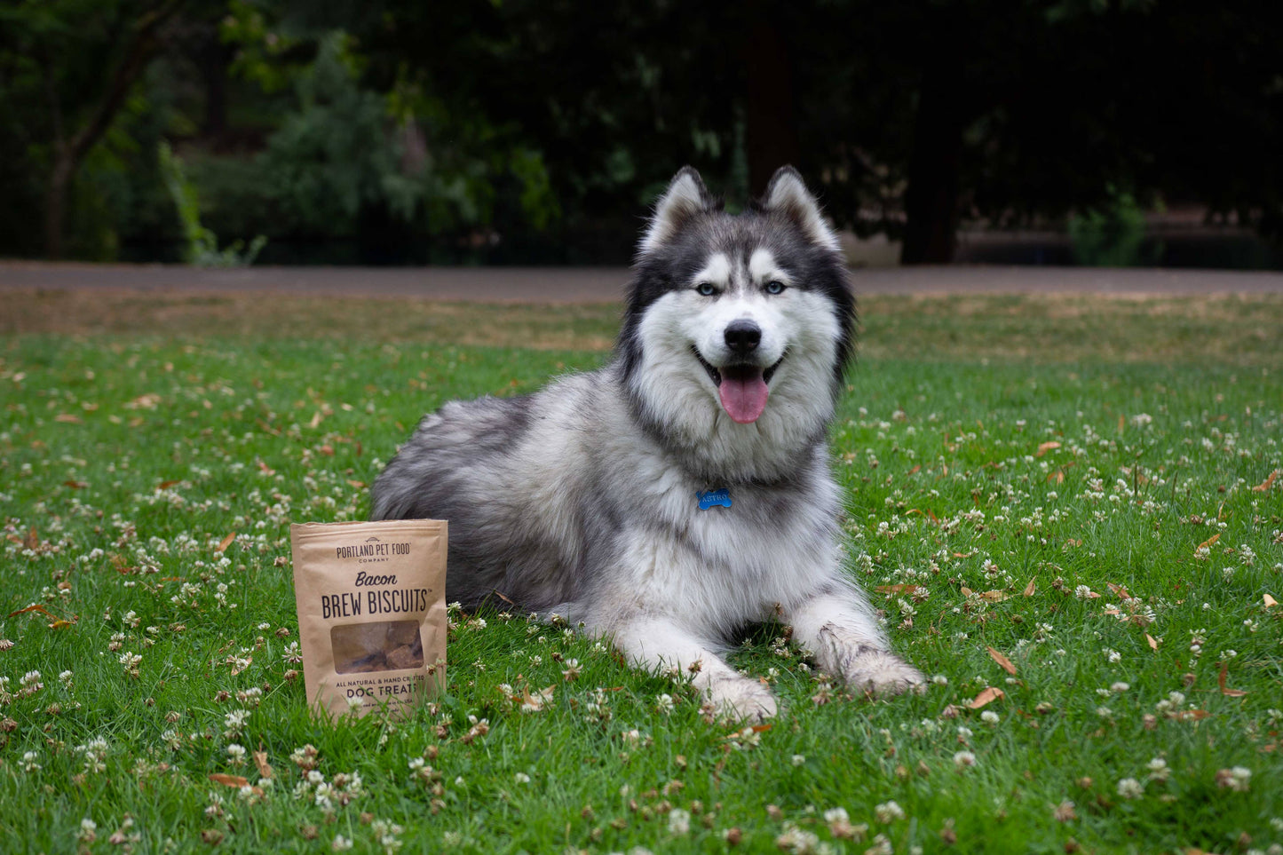 Portland Pet Bacon Brew Dog Biscuits