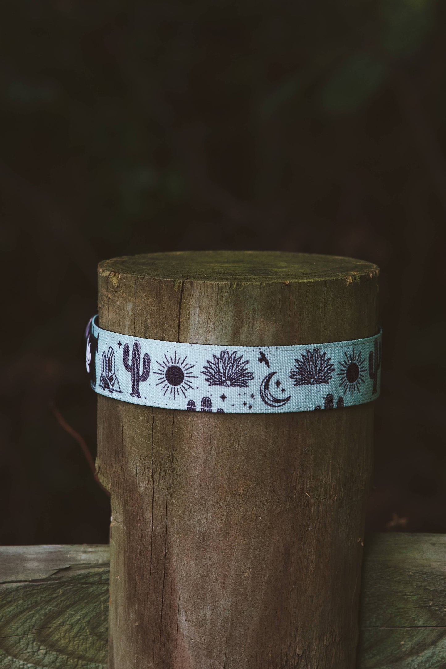 Agave Dog Collar