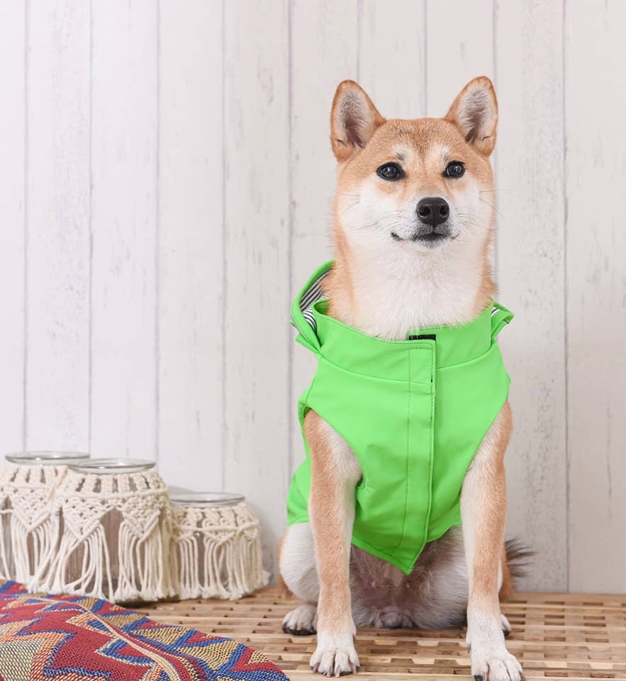 Green Raincoat
