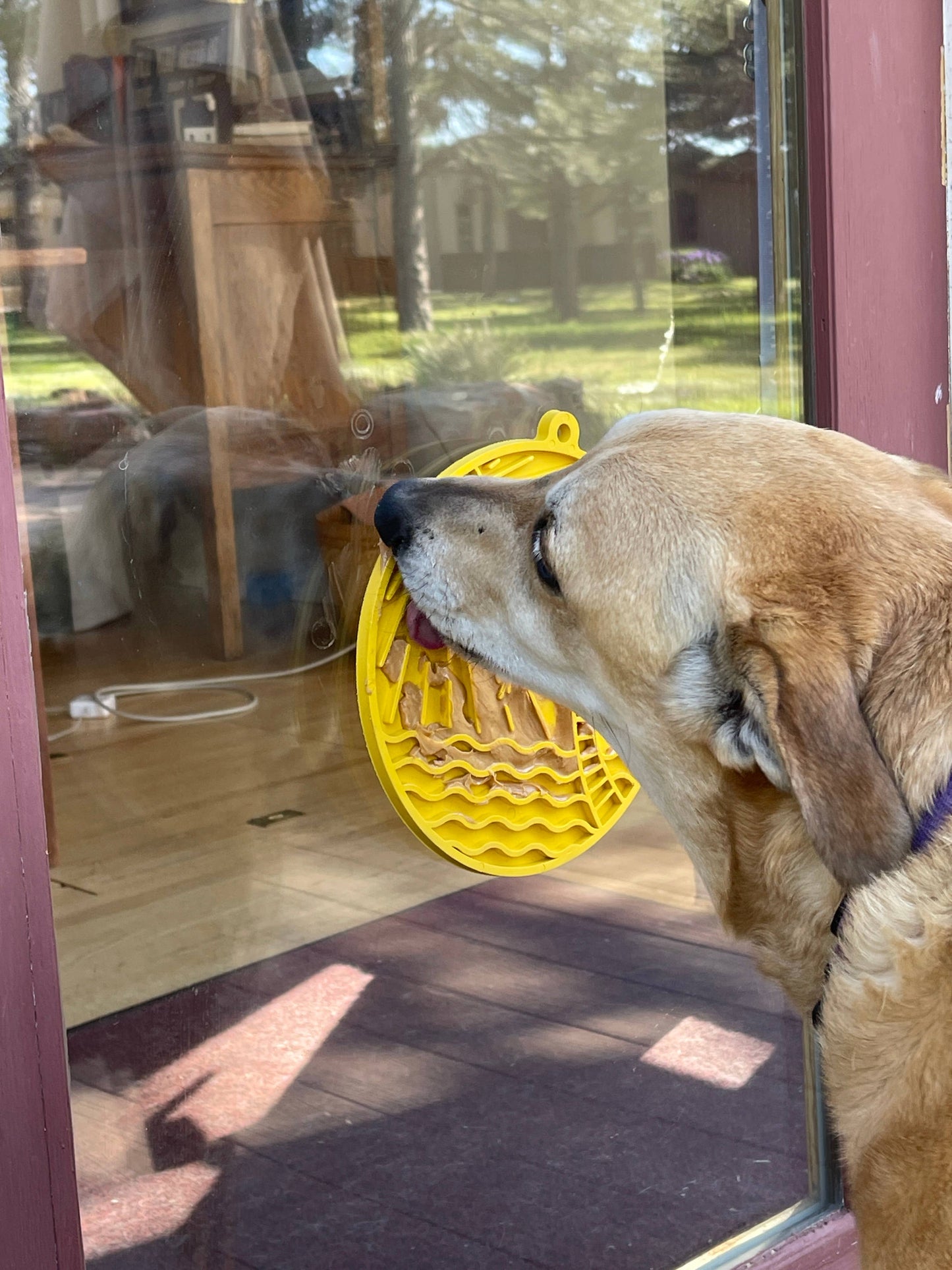 Sun n' Sea Lick Mat With Suction Cups: Yellow