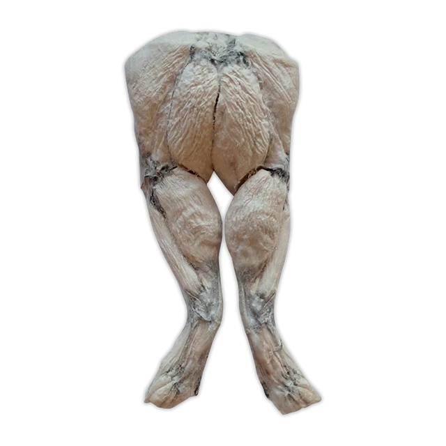 Bones & Co Frog Legs Dog Treat