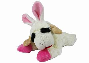 Easter Bunny Lamb Chop Dog Toy