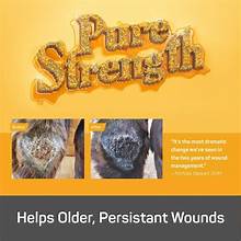 Silver Honey Wound Care: Gel Bottle