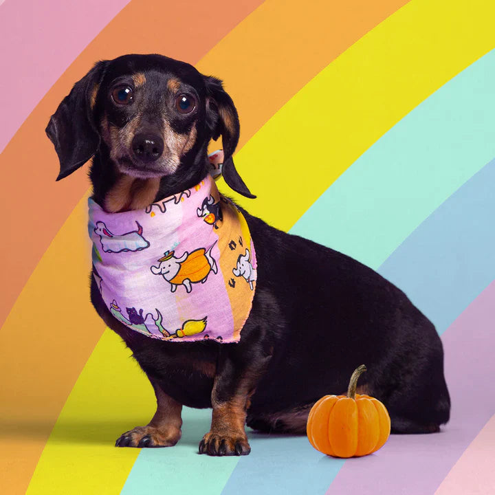 Halloweenie Dog Bandana
