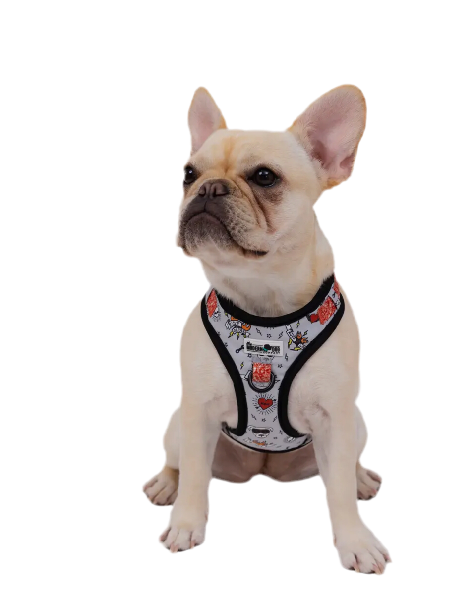 Bad To The Bone Dog Harness