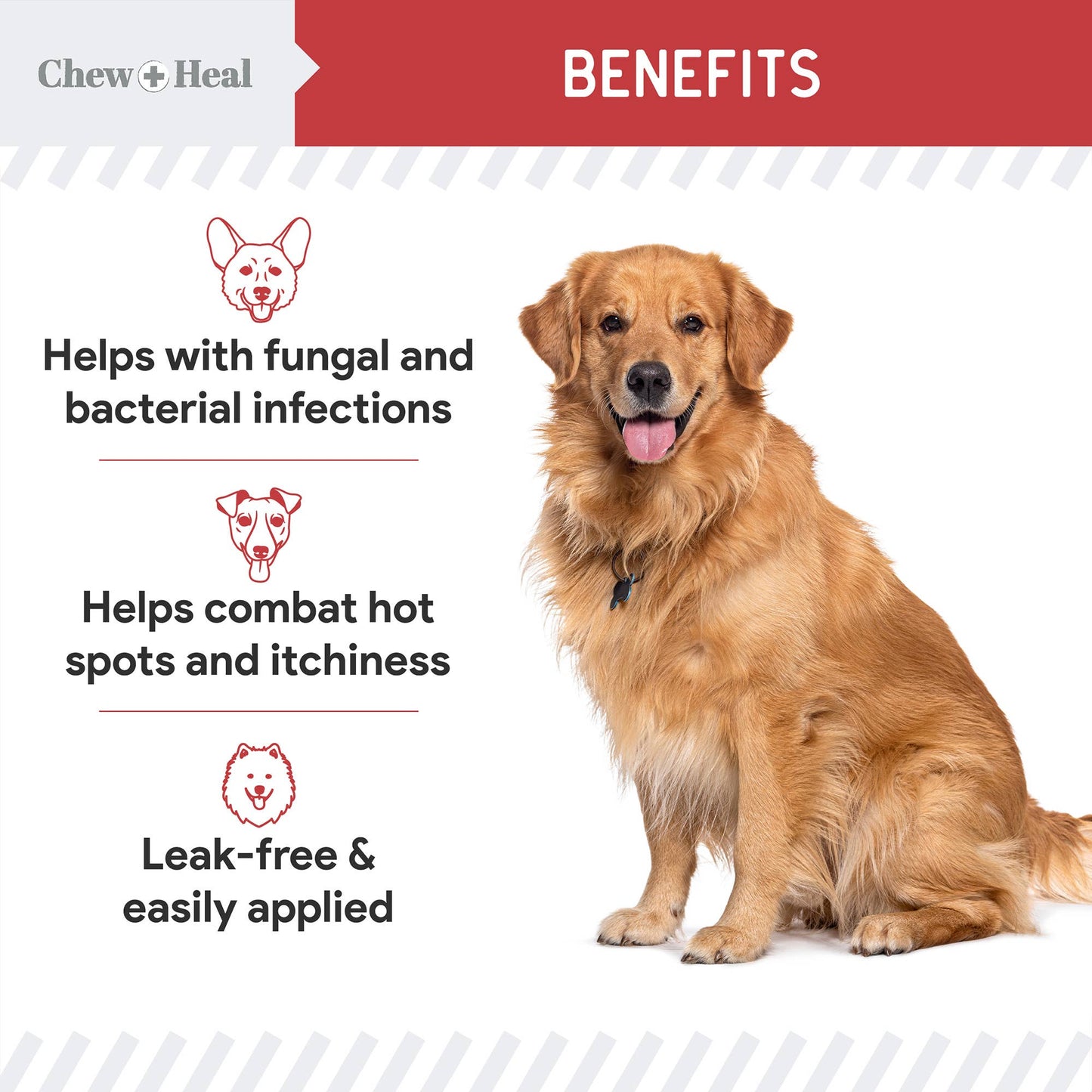 Chew + Heal Antibacterial & Antifungal Medicated Wet Wipes for Dogs