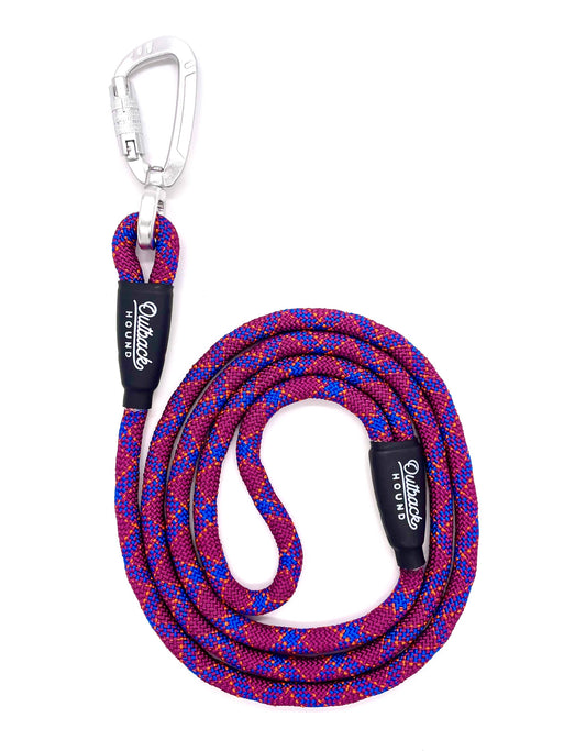Swivel All-Terrain Dog Leash - Purple