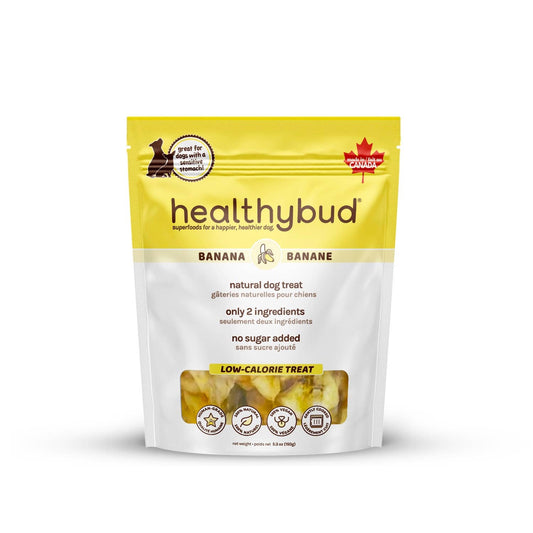 Healthybud's Single-Ingredient Banana Chip Dog Treats