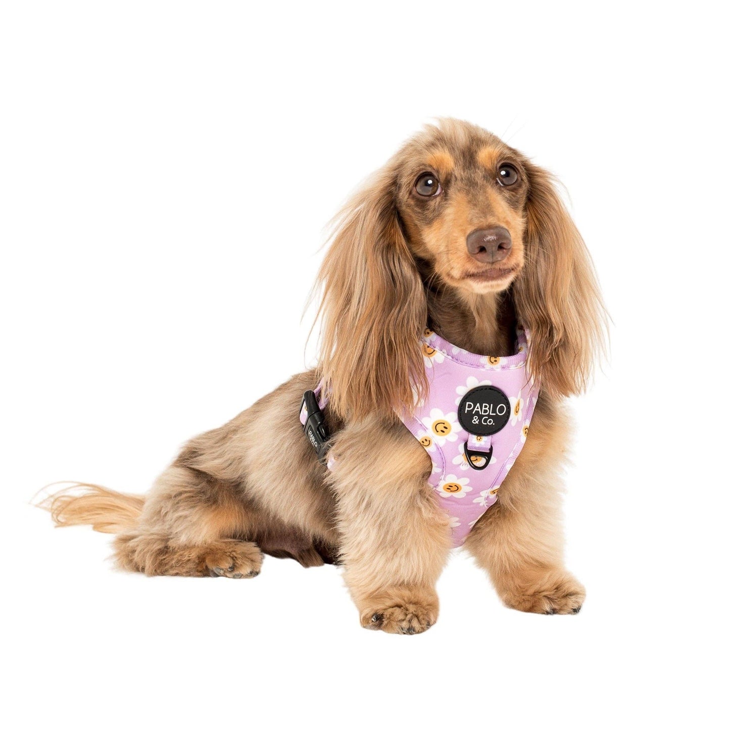 Lilac Smiley Flowers Dog Harness