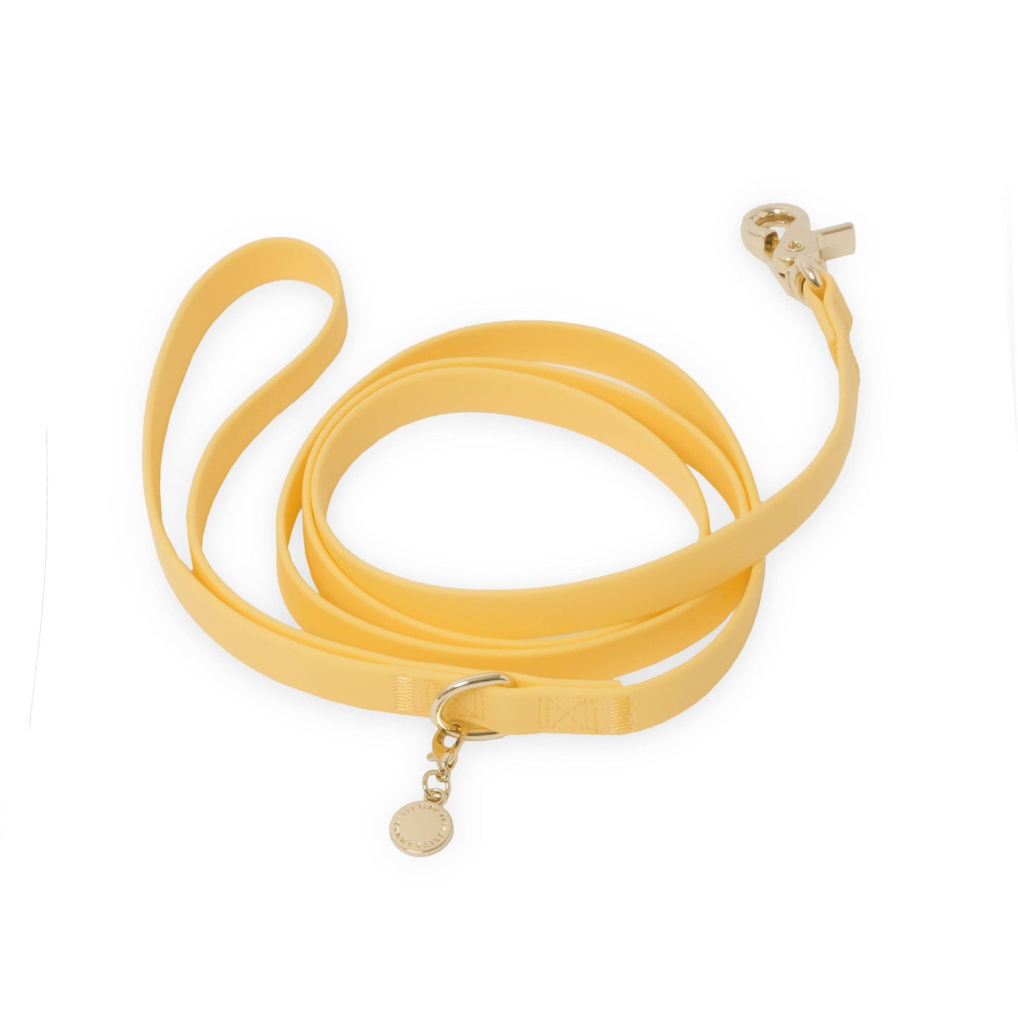 Dog Leash Waterproof - Dandelion Yellow | 5 FT