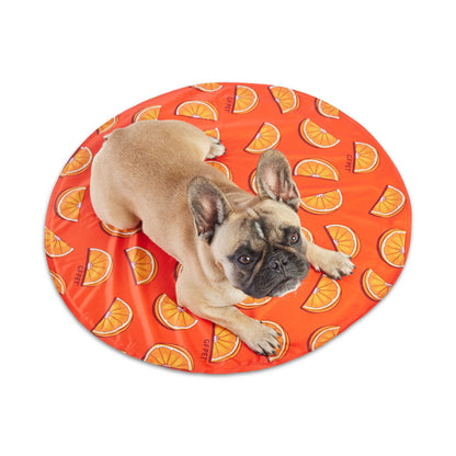 GF Pet Ice Cooling Mat: Aqua / L/XL