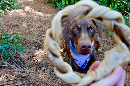 Braided Sticks Lamb Collagen Ring