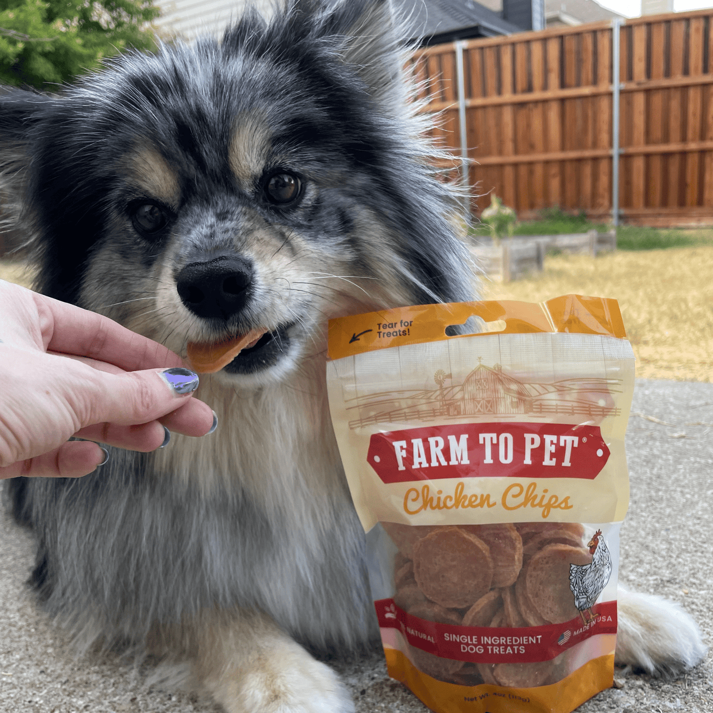 Chicken Chips Dog Treats: 4oz